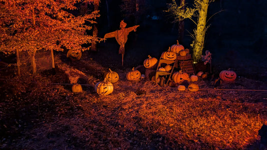 Scary Pumpkins in the dark lit up by red lights.
