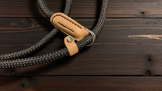 Full Grain leather/Rope Dog Slip Lead.